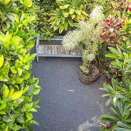Nalu Kai Lodge Paia Hotel Bagian luar foto