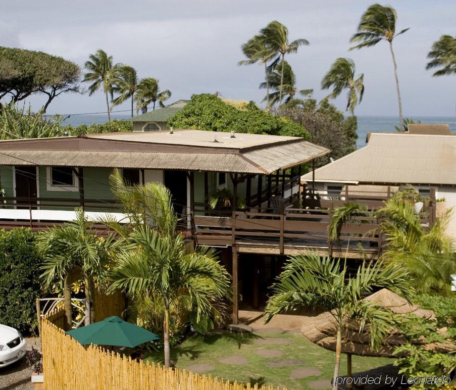 Nalu Kai Lodge Paia Hotel Bagian luar foto