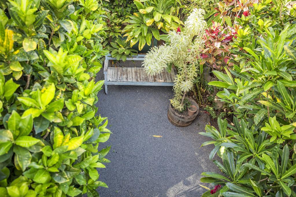 Nalu Kai Lodge Paia Hotel Bagian luar foto