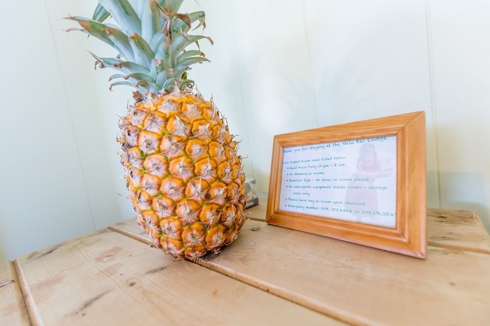 Nalu Kai Lodge Paia Hotel Bagian luar foto